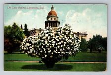 Sacramento CA-California, the State Capitol, Antique Vintage Souvenir Postcard picture