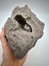 Genuine Large Herkimer Diamond Gem in Matrix, Excellent example of how they form picture