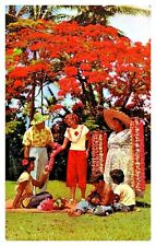 Hawaii Lei Seller & Helpers Beneath Magificent Royal Poinciana Tree Postcard F8 picture