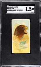 1888 N25 Allen & Ginter Sea Lion Wild Animals of the World SGC 1.5 picture