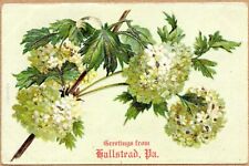 Hallstead PA Greetings Embossed Pennsylvania Postcard picture