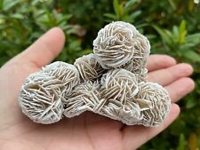 Jumbo Desert Rose Clusters, 1.75-4 Inches Desert Gypsum Rose, Pick a Size picture