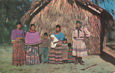 Silver Springs Florida, Seminole Indian Family & Hut, Vintage Postcard picture