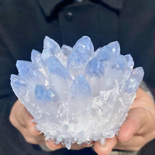 423G New Find BLUE Phantom Quartz Crystal Cluster Mineral Specimen Healing picture