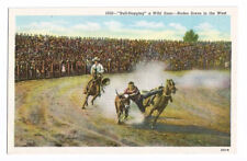 Rodeo Postcard Western Cowboys Horses Steer picture