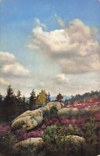 Oybin Germany, Scenic Hillside View, Large Rocks, Vintage Postcard picture