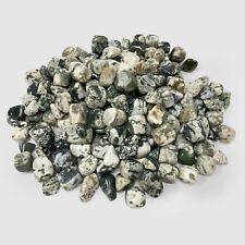 1 Lb Bulk Moss Agate Heated Tumbled Stone Gemstone Crystals picture