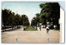 c1905 Main Street Tree-lined Scene Jacksonville Florida FL Antique Postcard picture