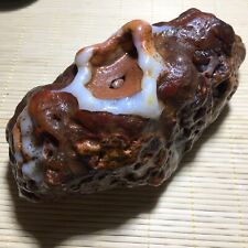 890g Bonsai Suiseki-Natural Gobi Agate Eyes Stone-Rare Stunning Viewing k607 picture