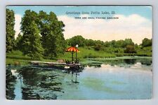 Petite Lake IL-Illinois, Ideal Fishing Grounds, Greetings, Vintage Postcard picture