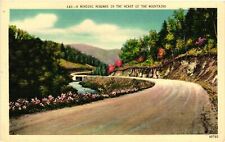 Vintage Postcard- Mountain Roadway picture
