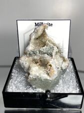 Quality Millerite Thumbnail Mineral - Halls Gap, Kentucky, USA picture