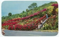 Kealakekua Kona HI Machado Gardens Postcard - Hawaii picture