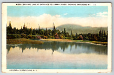 c1920s Adirondack Mountains New York Middle Saranac Lake Antique Postcard picture