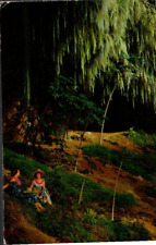 Kauai Hawaii HI Fern Grotto 1968 Postmark Vintage Postcard picture