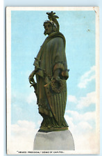 Armed Freedom Dome Capitol Bronze Statue Armed Liberty Vintage Postcard F10 picture