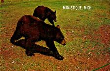 Vintage Real Photo Postcard Black Bears Manistique Michigan ~ Ships FREE picture
