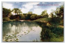 Springtime View of Lagoon Lincoln Park Chicago Illinois IL UNP DB Postcard Y2 picture