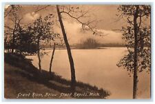 1907 Grand River Trees Below Grand Rapids Michigan MI Posted Vintage Postcard picture