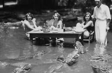 Antique Alligator Lunch Photo 2493 Oddleys Strange & Bizarre picture