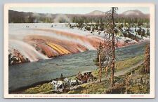 Postcard WY Haynes No 119 Excelsior Geyser Overflow Yellowstone Park Vintage D5 picture