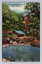 Luqillo-Puerto Rico, Natural Pool In El Yunque, Vintage c1945 Postcard picture
