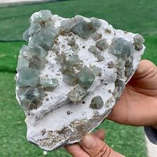 2.46LB Rare transparent blue-green cubic fluorite mineral crystal sample picture