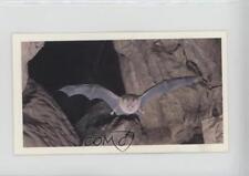 1984 Grandee Britain's Endangered Wildlife Greater Horseshoe Bat #1 00jz picture