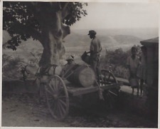 CUBAN COUNTRYSIDE IMAGES RURAL WATER CARRIER CUBA 1950s VINTAGE Photo Y 399 picture
