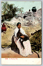Family Pet Donkey Woman c1910s Antique Burro Vintage Postcard picture