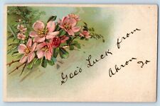 Akron Iowa IA Postcard Flower Glitter Embossed Good Luck c1908 Vintage Antique picture