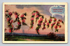 1909 Language of Flowers Big Letter Be Mine in Clover Flowers Postcard picture