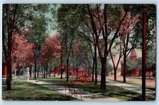 La Crosse Wisconsin WI Postcard Burns Park Trees Scenic View c1910's Antique picture