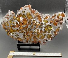 102 gram Imilac pallasite meteorite slice with olivine - legit US based seller picture