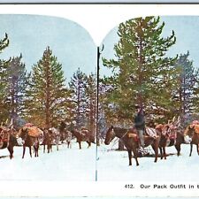 c1900s Horse Pack Outfit in Mountains Bell Mare Donkey Snow Tree Stereo Card V19 picture