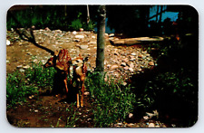 Greetings From Manitowish Waters Wisconsin Vintage Unposted Twin Fawns Deer picture