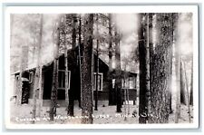 c1930's Cottage At Woodlawn Lodge Minong Wisconsin WI RPPC Photo Postcard picture