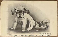 Puppy Dog Pulling Shoe Laces Artist Signed Colby Antique Postcard 1909 picture