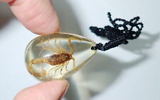 Insect Necklace Golden Scorpion Specimen OVAL Shape SD07 Amber Clear picture