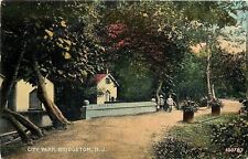 Bridgeton New Jersey~Children Walk Path in City Park~Bent Trees~Houses~1908 PC picture