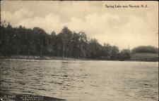 Newton NJ Spring Lake Panoramic View c1910 Vintage Postcard picture