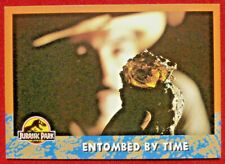 JURASSIC PARK - Card #21 - Entombed By Time - TOPPS 1993 picture