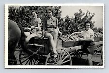 Postcard PA Franklin County Pennsylvania Pretty Ladies Picking Peaches 1940s L29 picture