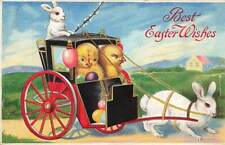 c1910 Rabbits Anthropomorphic Humanized Driving Carriage Chicks Easter P154 picture