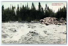 c1910's View Of Tom Kingston Chute Michigamme River Michigan MI Antique Postcard picture