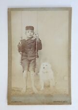 Antique Studio Cabinet Card Boy Swing White Spitz Samoyed Dog picture