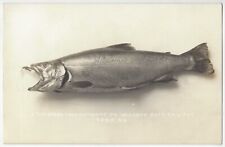 1909 Mounted Taxidermy Trout Fish REAL PHOTO - Caught at Delta Dam, Old Postcard picture
