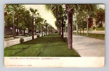 Jacksonville FL-Florida, Main Street Above Waterworks, Vintage c1906 Postcard picture