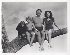 Tarzan Cheetah Johnny Sheffield Johnny Weissmuller Maureen O'Sullivan 8x10 photo picture