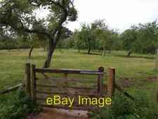 Photo 6x4 Orchard, Old Country Farm Moorend Cross A view from the souther c2008 picture